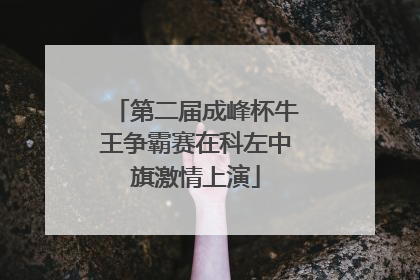 第二届成峰杯牛王争霸赛在科左中旗激情上演
