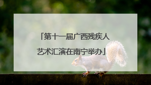 第十一届广西残疾人艺术汇演在南宁举办