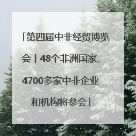 第四届中非经贸博览会丨48个非洲国家、4700多家中非企业和机构将参会