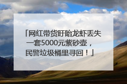 网红带货盱眙龙虾丢失一套5000元紫砂壶，民警垃圾桶里寻回！