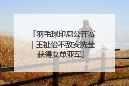 羽毛球印尼公开赛｜王祉怡不敌安洗莹 获得女单亚军