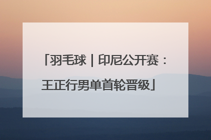 羽毛球｜印尼公开赛：王正行男单首轮晋级