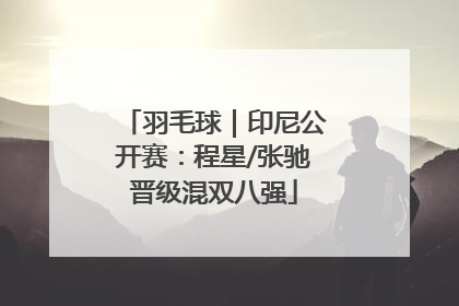 羽毛球｜印尼公开赛：程星/张驰晋级混双八强