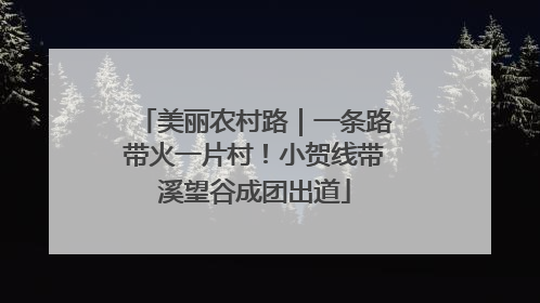 美丽农村路｜一条路带火一片村！小贺线带溪望谷成团出道