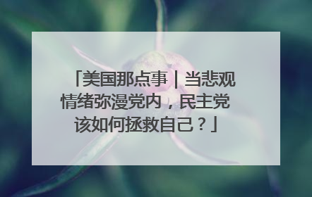 美国那点事｜当悲观情绪弥漫党内，民主党该如何拯救自己？