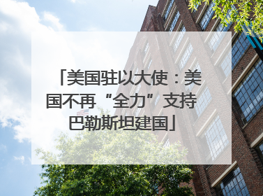 美国驻以大使：美国不再“全力”支持巴勒斯坦建国