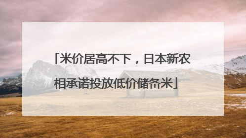 米价居高不下，日本新农相承诺投放低价储备米