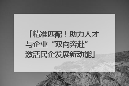精准匹配！助力人才与企业“双向奔赴” 激活民企发展新动能