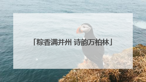 粽香满并州 诗韵万柏林