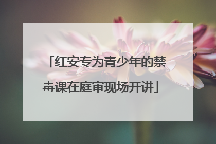 红安专为青少年的禁毒课在庭审现场开讲