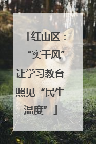 红山区：“实干风”让学习教育照见“民生温度”