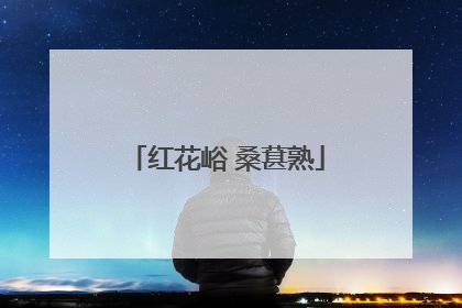 红花峪 桑葚熟