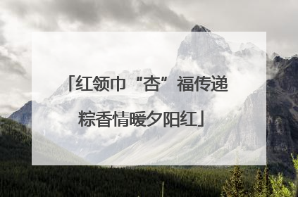 红领巾“杏”福传递 粽香情暖夕阳红