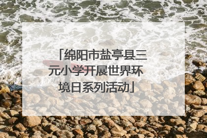 绵阳市盐亭县三元小学开展世界环境日系列活动