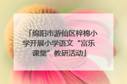 绵阳市游仙区梓棉小学开展小学语文“富乐课堂”教研活动