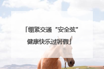 绷紧交通“安全弦” 健康快乐过暑假