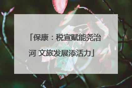 保康：税宣赋能尧治河 文旅发展添活力