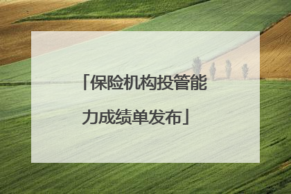 保险机构投管能力成绩单发布