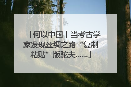 何以中国丨当考古学家发现丝绸之路“复制粘贴”版驼夫……