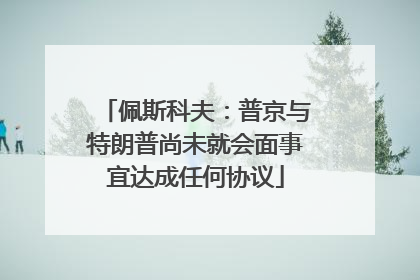佩斯科夫：普京与特朗普尚未就会面事宜达成任何协议