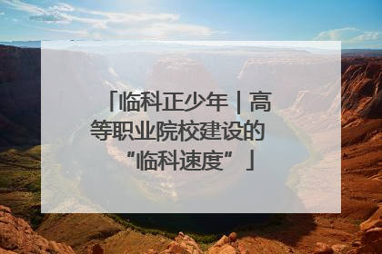 临科正少年｜高等职业院校建设的“临科速度”