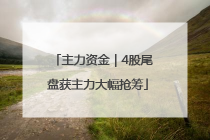 主力资金｜4股尾盘获主力大幅抢筹