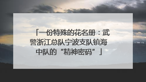 一份特殊的花名册：武警浙江总队宁波支队镇海中队的“精神密码”