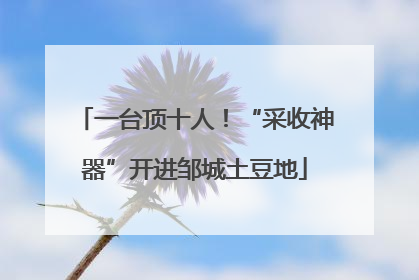 一台顶十人！“采收神器”开进邹城土豆地