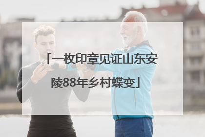 一枚印章见证山东安陵88年乡村蝶变
