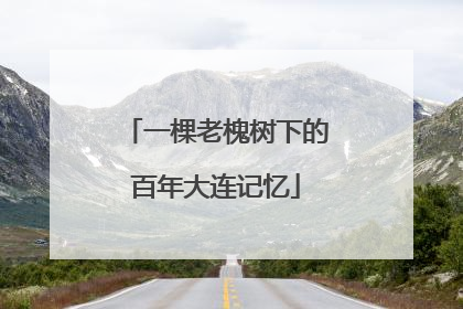 一棵老槐树下的百年大连记忆