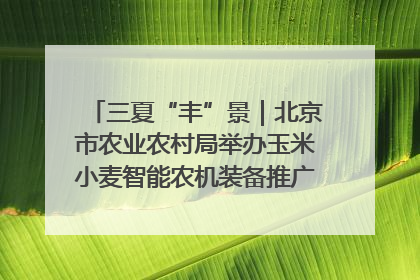三夏“丰”景｜北京市农业农村局举办玉米小麦智能农机装备推广“田间日”活动