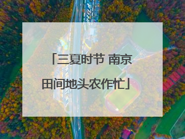 三夏时节 南京田间地头农作忙