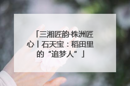 三湘匠韵·株洲匠心丨石天宝：稻田里的“追梦人”
