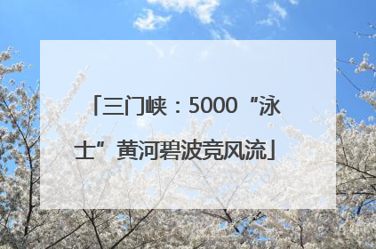 三门峡：5000“泳士”黄河碧波竞风流