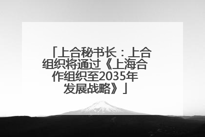 上合秘书长：上合组织将通过《上海合作组织至2035年发展战略》