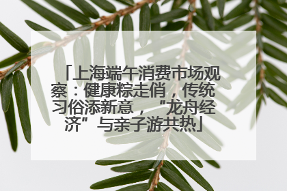 上海端午消费市场观察：健康粽走俏，传统习俗添新意，“龙舟经济”与亲子游共热