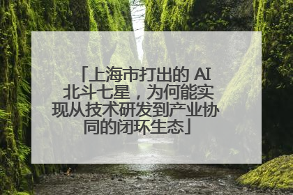 上海市打出的 AI 北斗七星，为何能实现从技术研发到产业协同的闭环生态