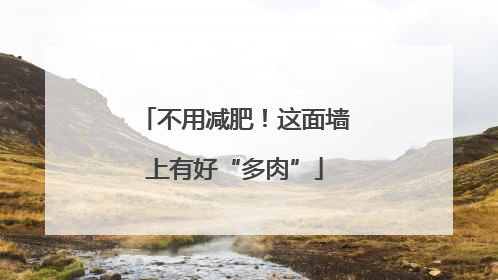 不用减肥！这面墙上有好“多肉”