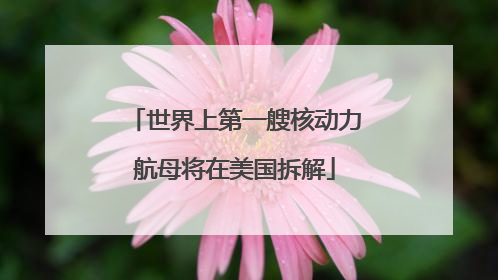世界上第一艘核动力航母将在美国拆解