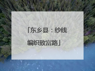 东乡县：纱线编织致富路