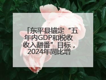 东平县锚定“五年内GDP和税收收入翻番”目标，2024年同比增长5.8%