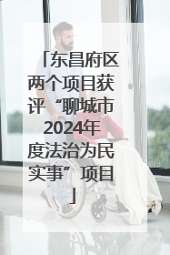 东昌府区两个项目获评“聊城市2024年度法治为民实事”项目