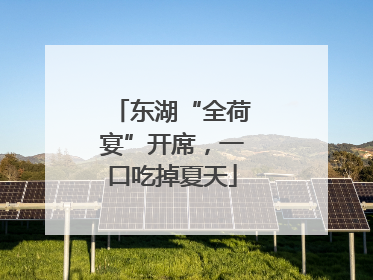 东湖“全荷宴”开席，一口吃掉夏天