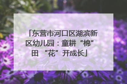 东营市河口区湖滨新区幼儿园：童耕“棉”田 “花”开成长
