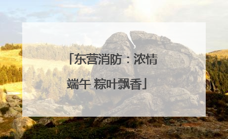 东营消防：浓情端午 粽叶飘香