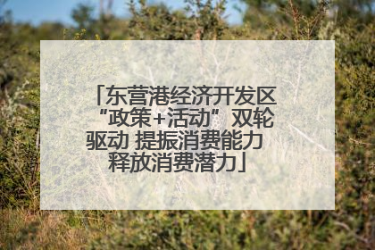 东营港经济开发区“政策+活动”双轮驱动 提振消费能力 释放消费潜力