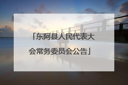 东阿县人民代表大会常务委员会公告