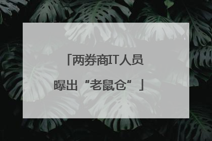 两券商IT人员曝出“老鼠仓”