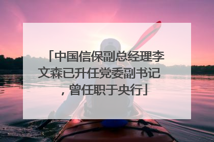 中国信保副总经理李文森已升任党委副书记，曾任职于央行