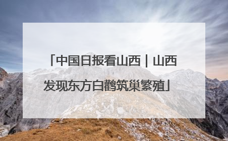 中国日报看山西｜山西发现东方白鹳筑巢繁殖